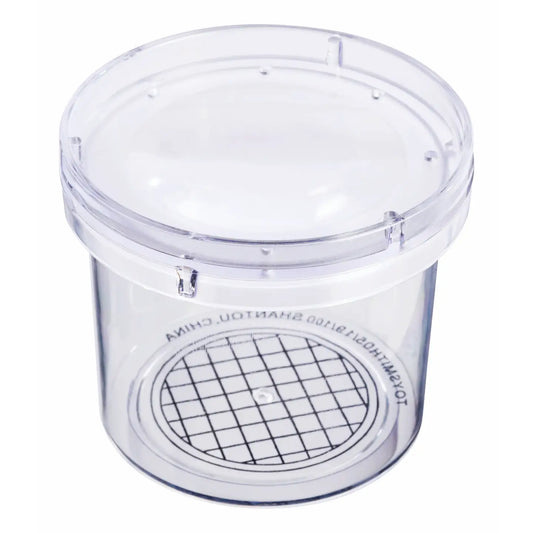 Beetle & Bee Magnifying Bug Viewer