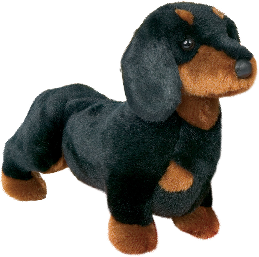 Spats Black & Tan Dachshund