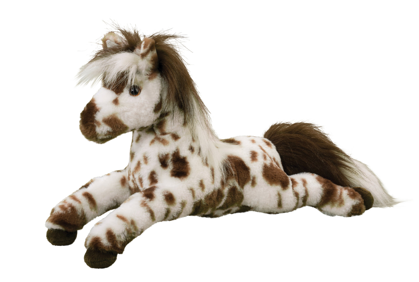 Duke Appaloosa Horse