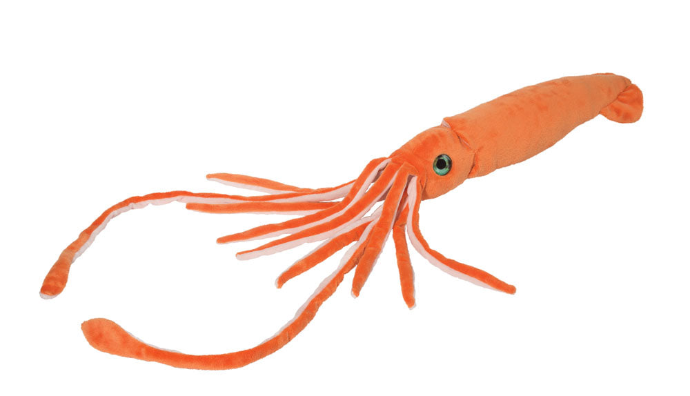 Stretch the Squid