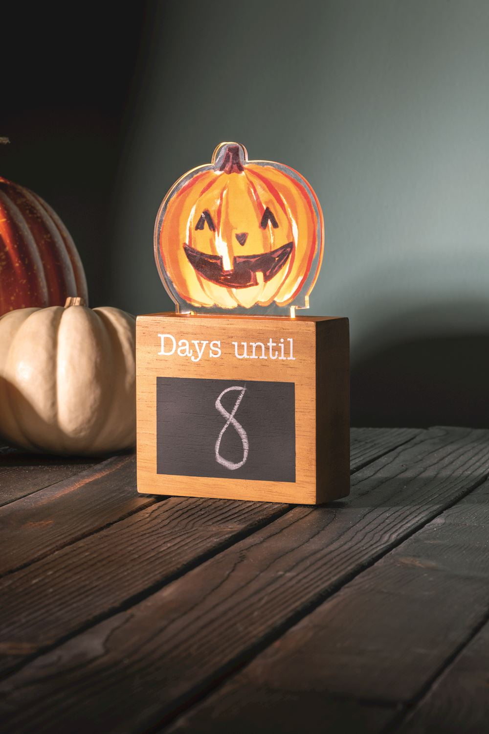 Light Up Countdown Holiday Set