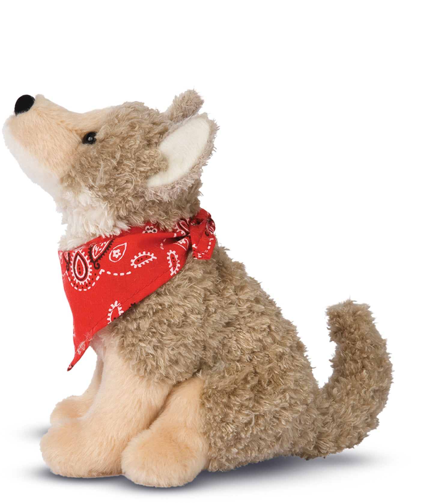 Trickster the Coyote