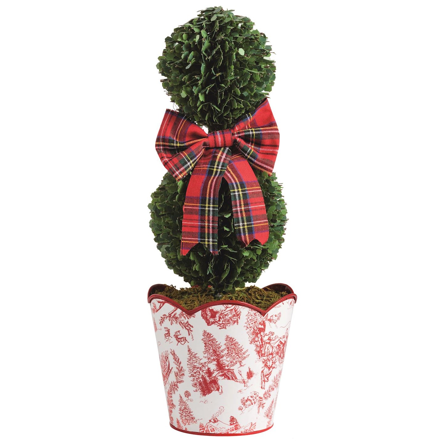 Toile Boxwood Topiary