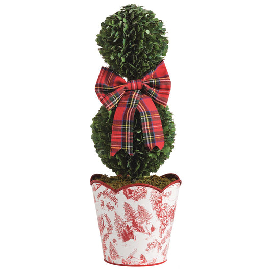 Toile Boxwood Topiary