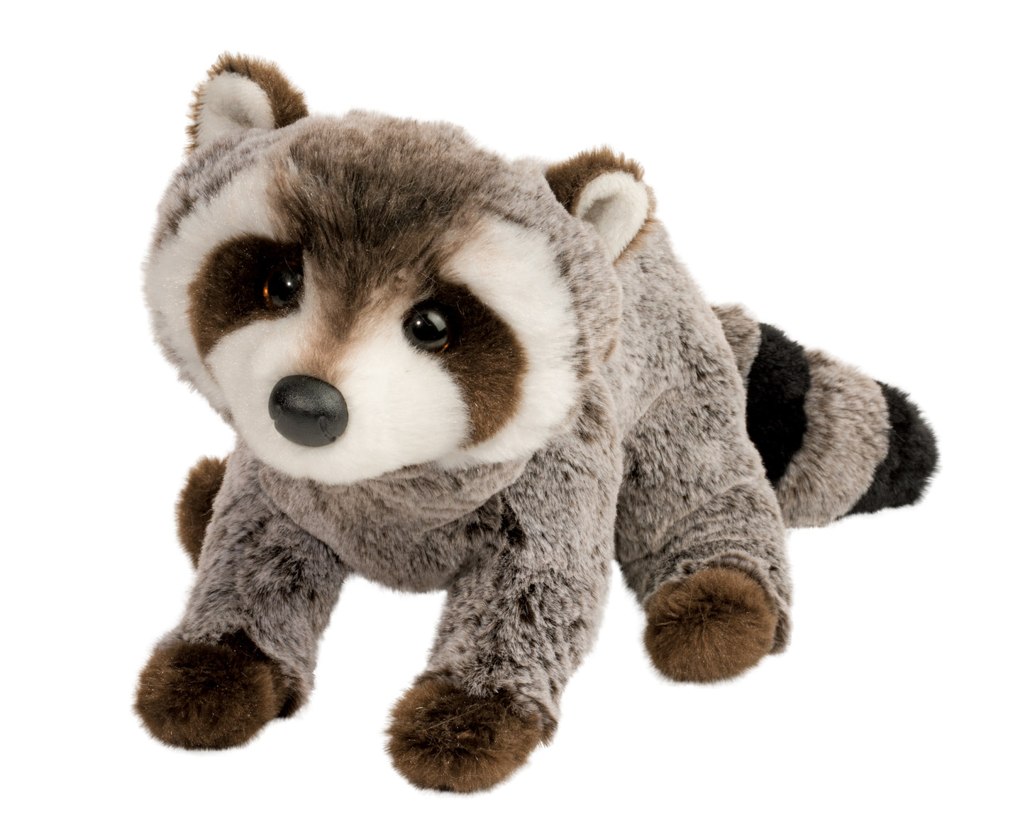 Ringo Raccoon