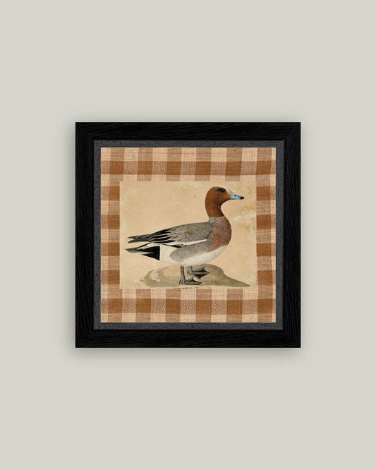 Eurasian Wigeon Framed Antique Art: 5x5