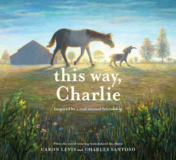 This Way, Charlie Board Book