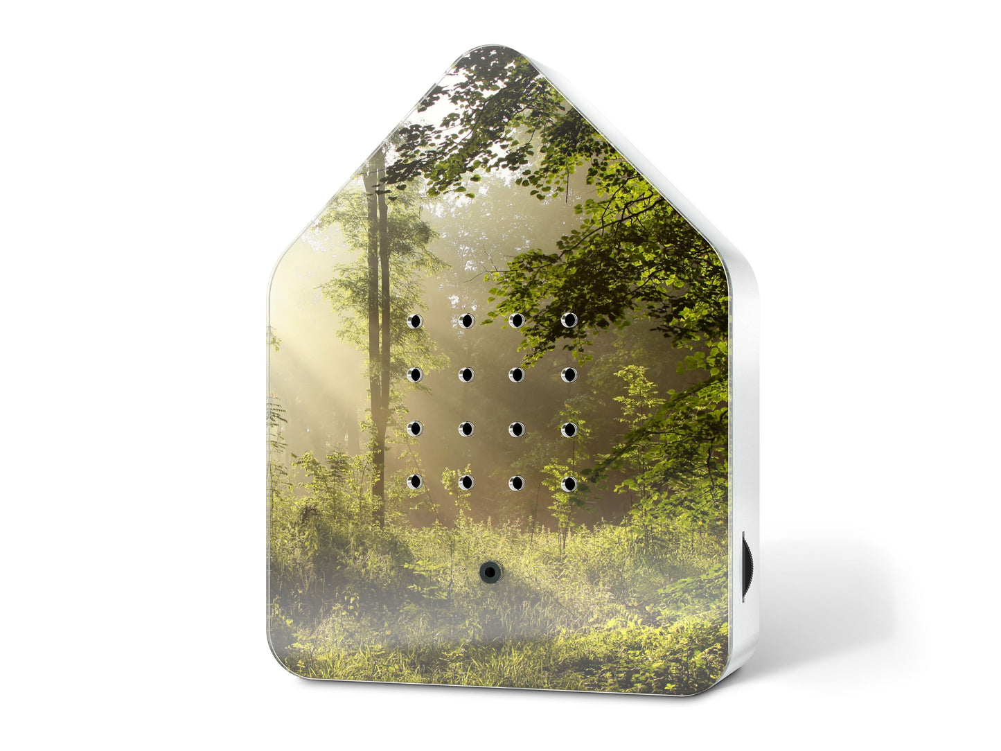 Relaxound Birdybox Sunbeam motion-activated birdsong sound box with sunlit forest design