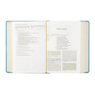 Bethany ESV Study Bible