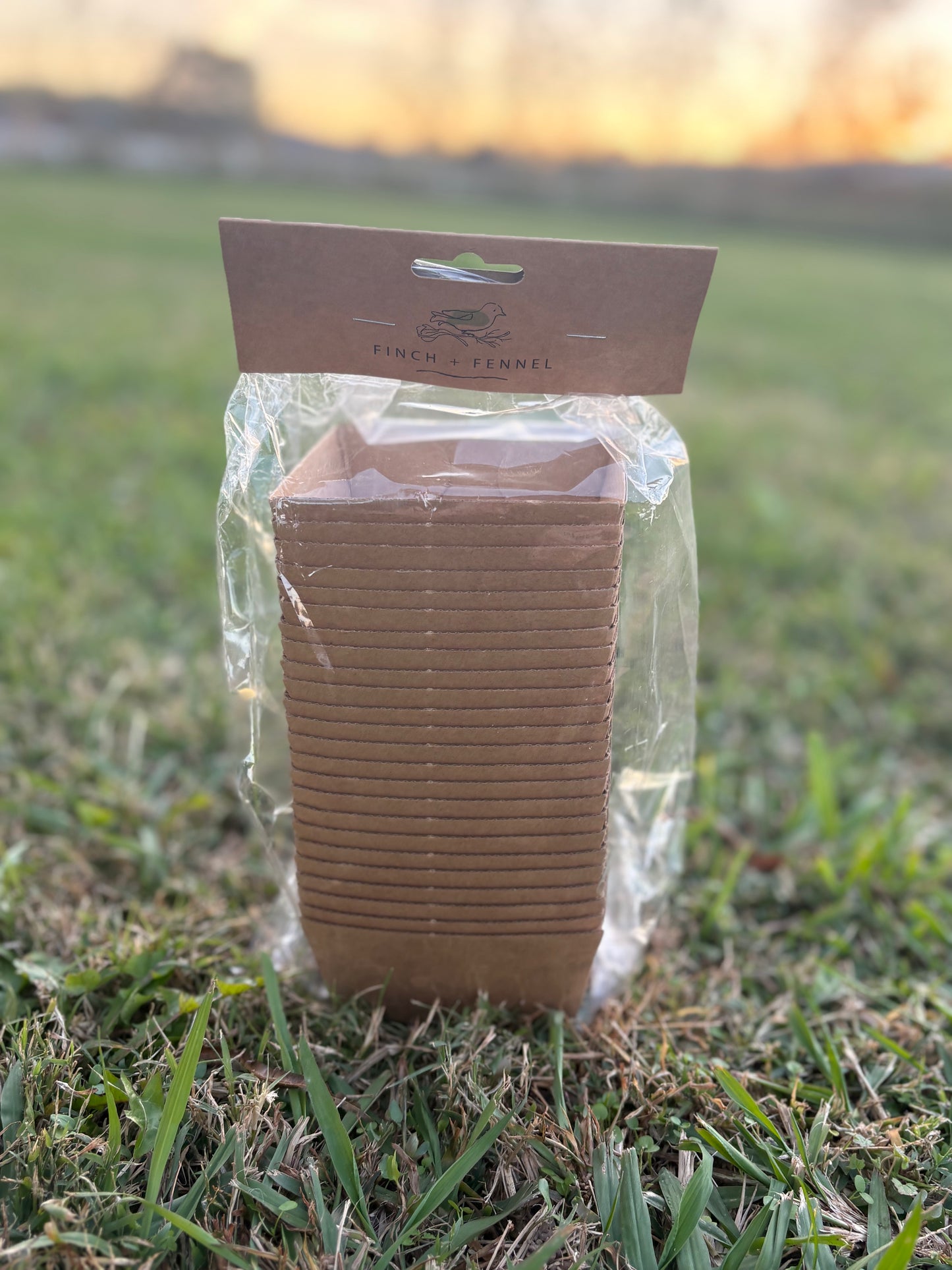 Square Craft Paper Serving Tray