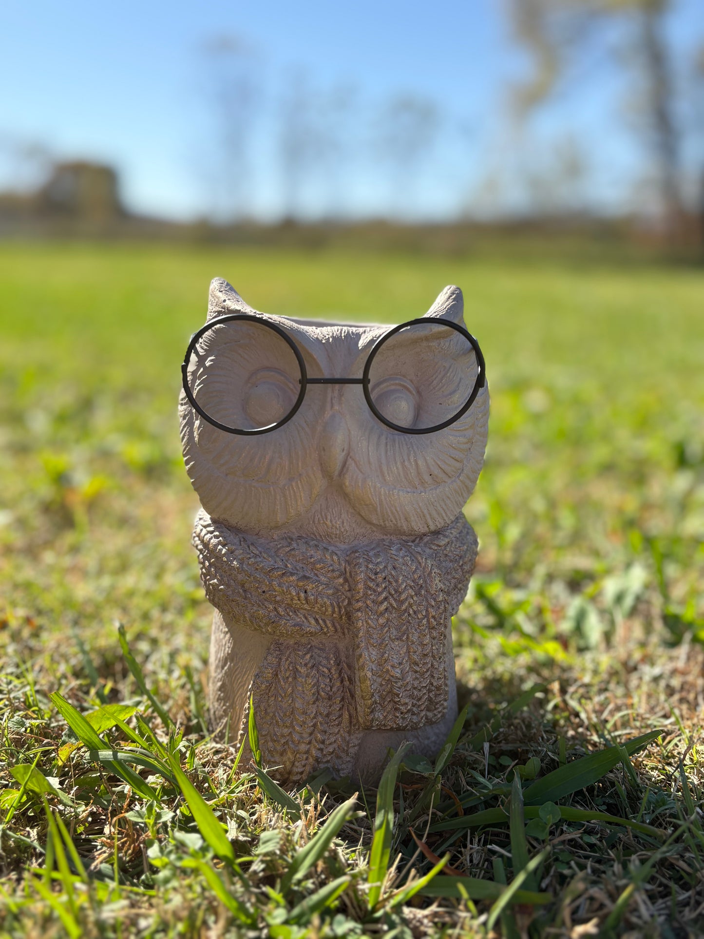 Owl w/ Glasses Cement Vase