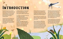 Don't Squish a Slug Book