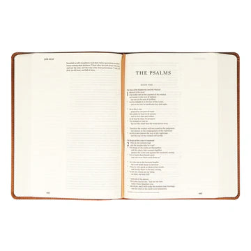 Sierra ESV Large Print Journaling Bible