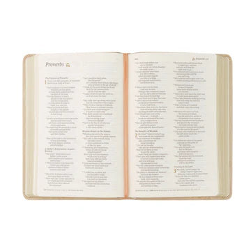Sonora NLT Compact Bible