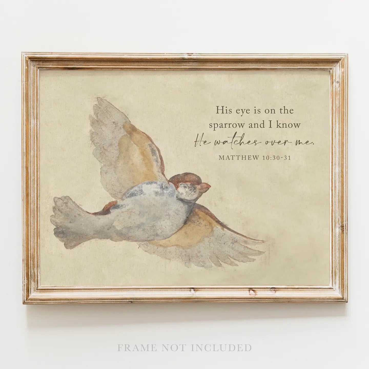 Sparrow Scripture Art 8x10