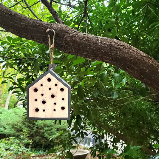 Little Bee House