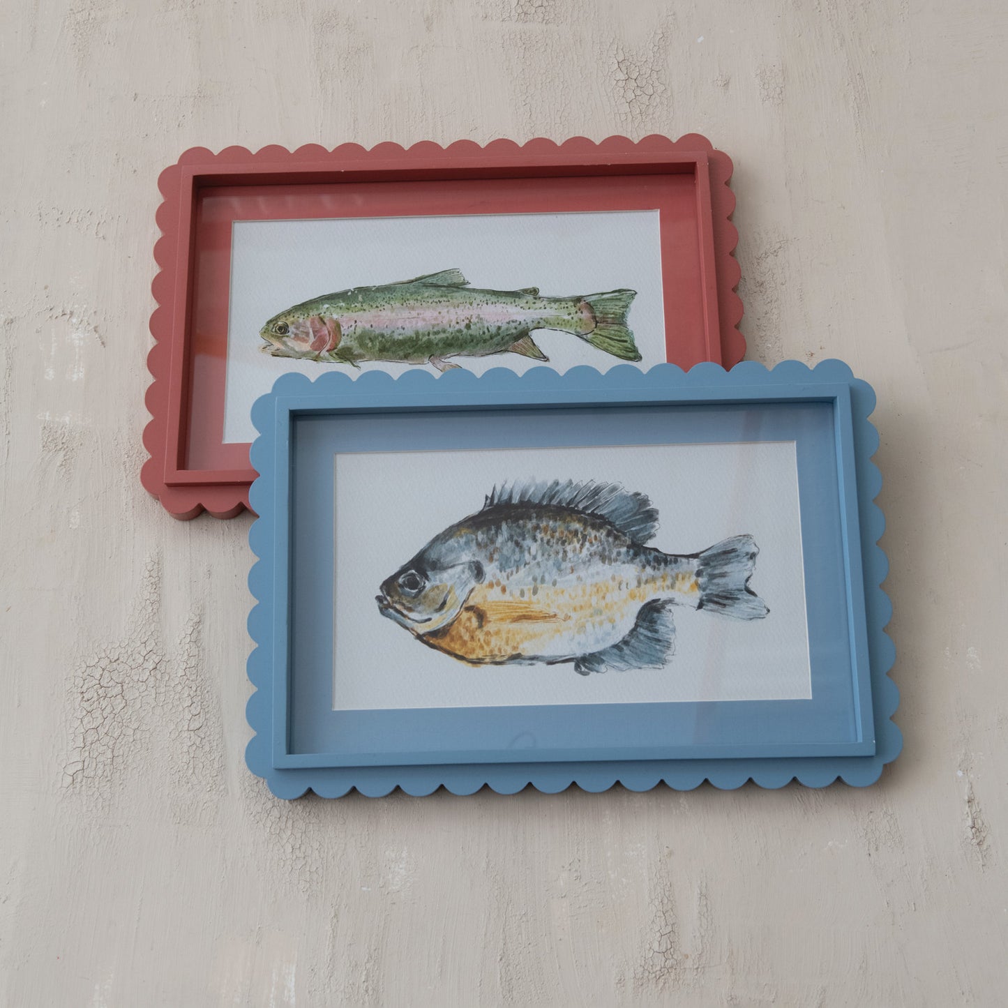 Scalloped Fish Study Wall Art
