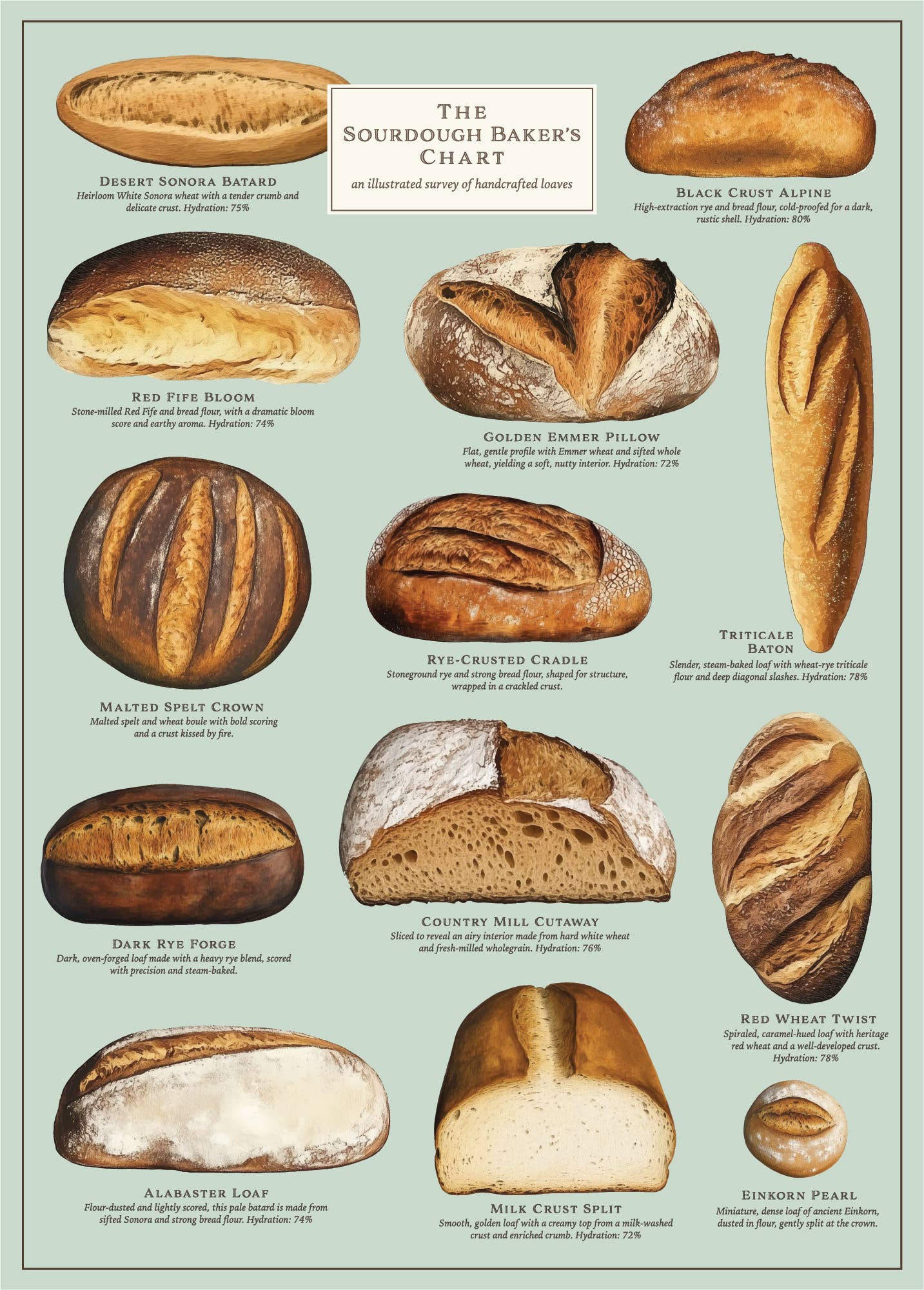 Sourdough Puzzle – 500 Pc Tube with Vintage Illustrations