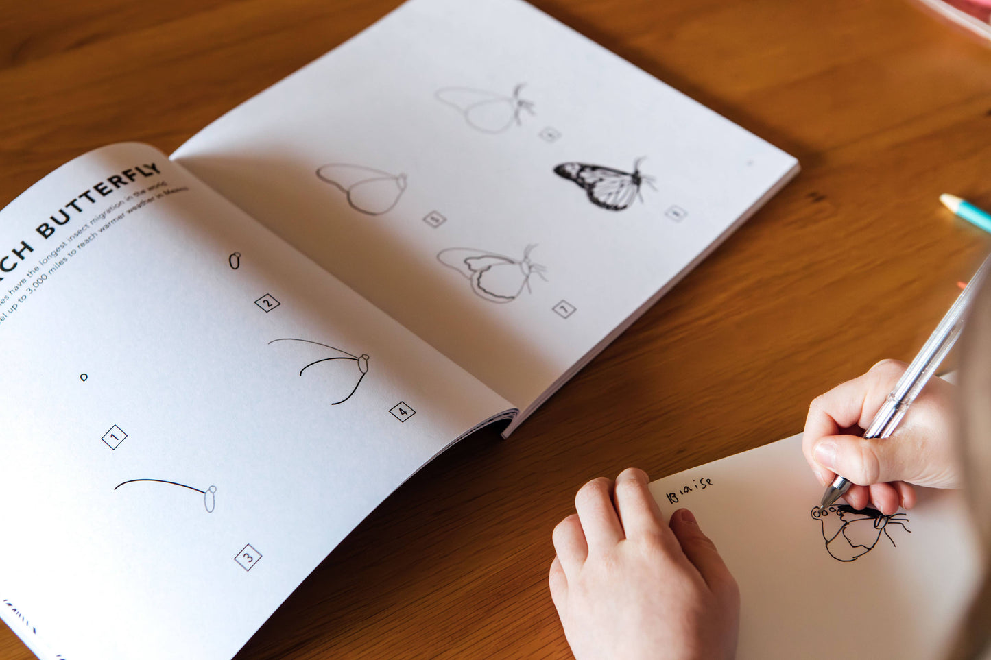 How to Draw Bugs for Kids | Easy Step-by-Step Drawing Book