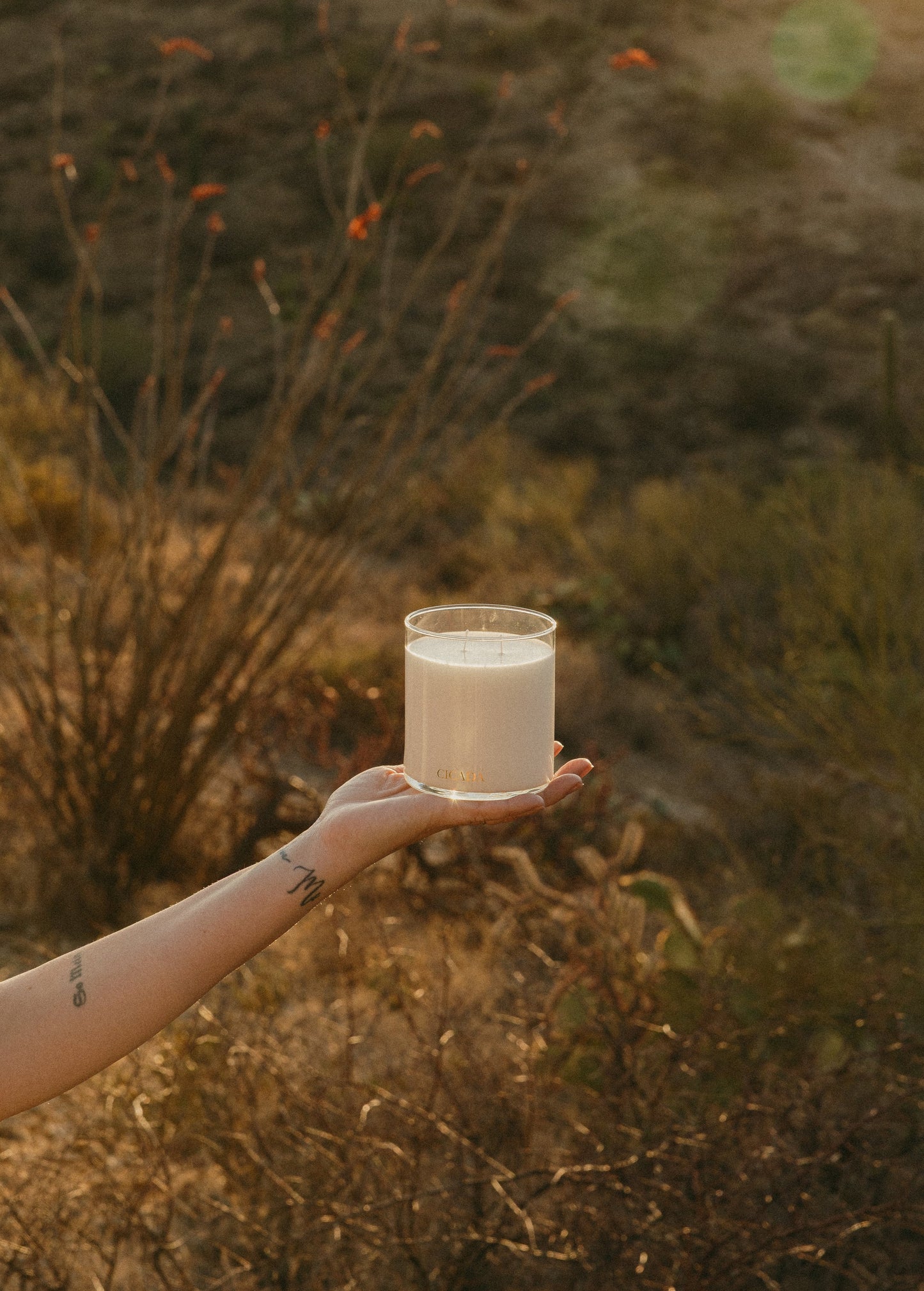 Cicada No. 2 Candle