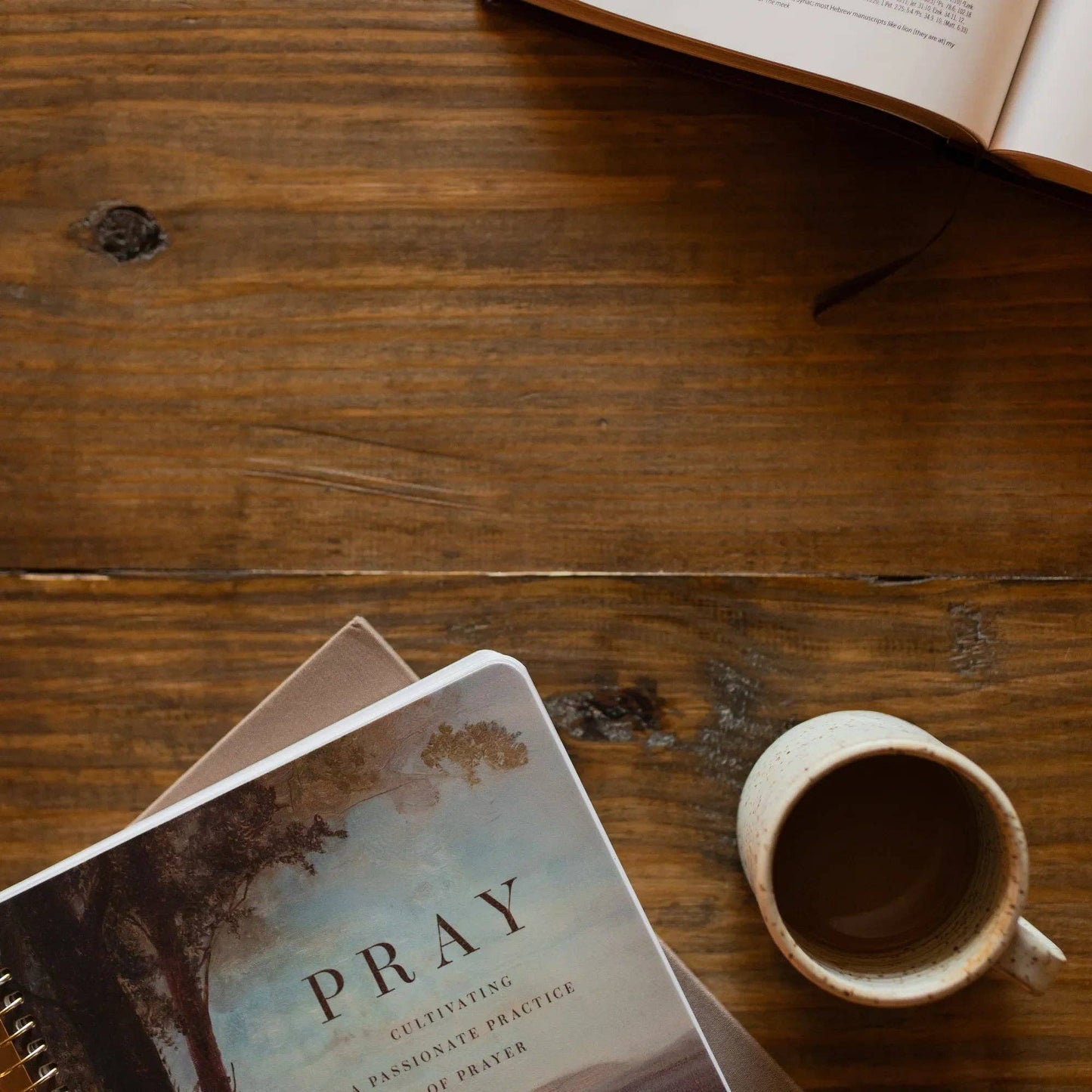 Pray Bible Study | Cultivating a Passionate Practice of Prayer