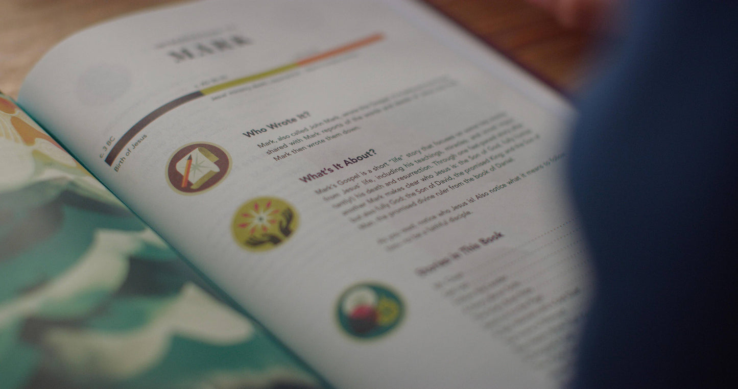 ESV The Biggest Story Holy Bible for Kids