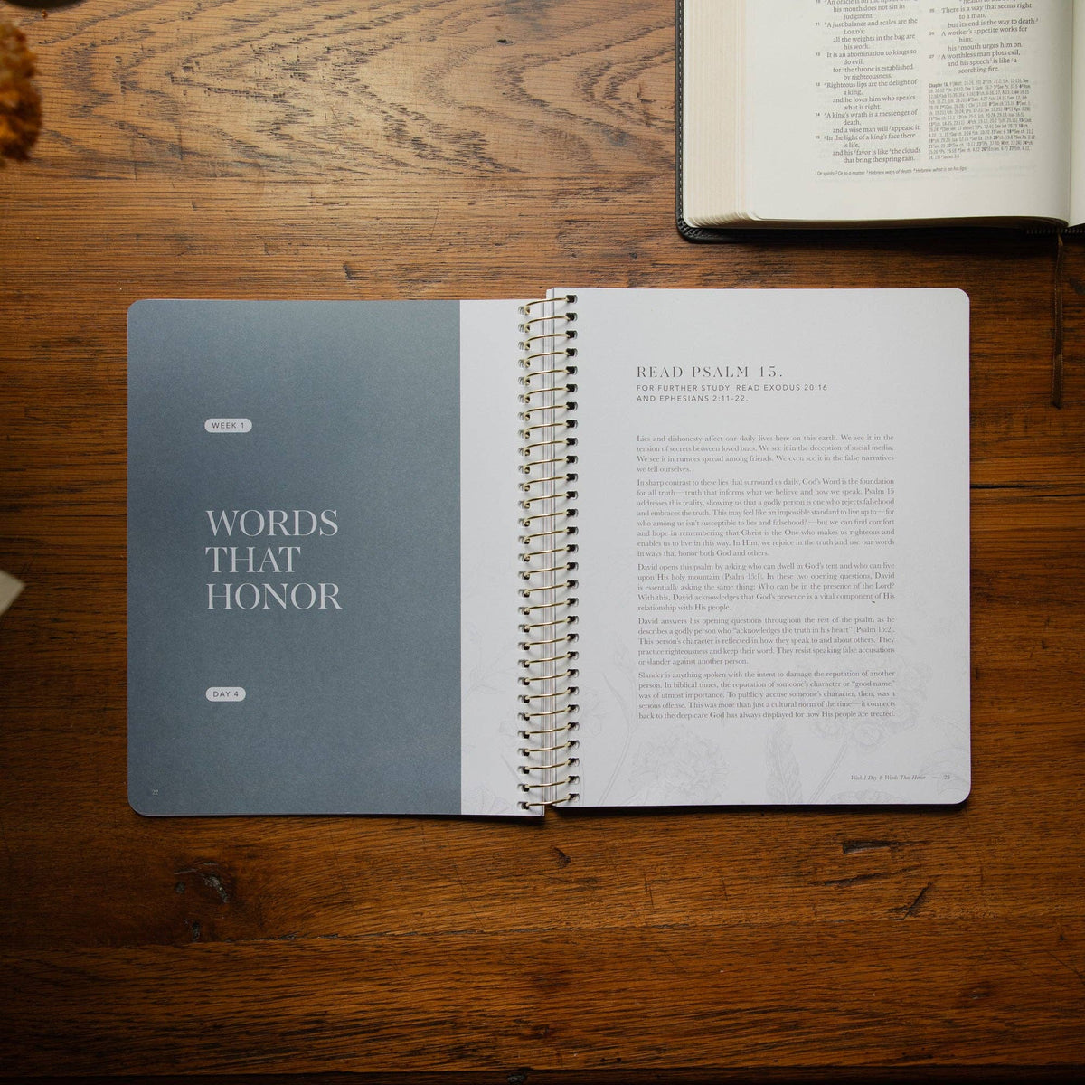 Open Sticks and Stones Bible study showing Week 1 Words That Honor lesson with Scripture readings and gospel-centered teaching about speaking with grace.