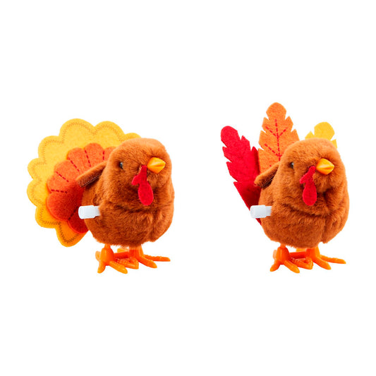 Wind Up Turkey Toy