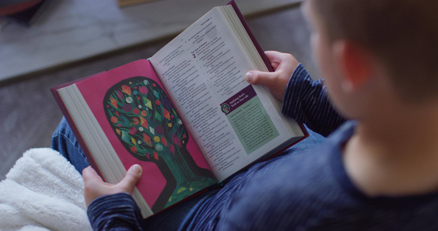 ESV The Biggest Story Holy Bible for Kids