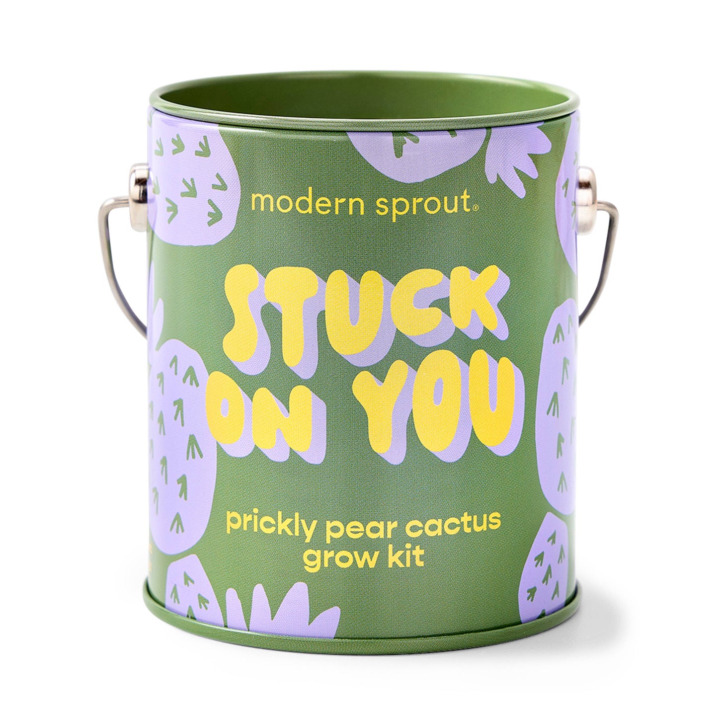 Rooted in Joy Grow Kits