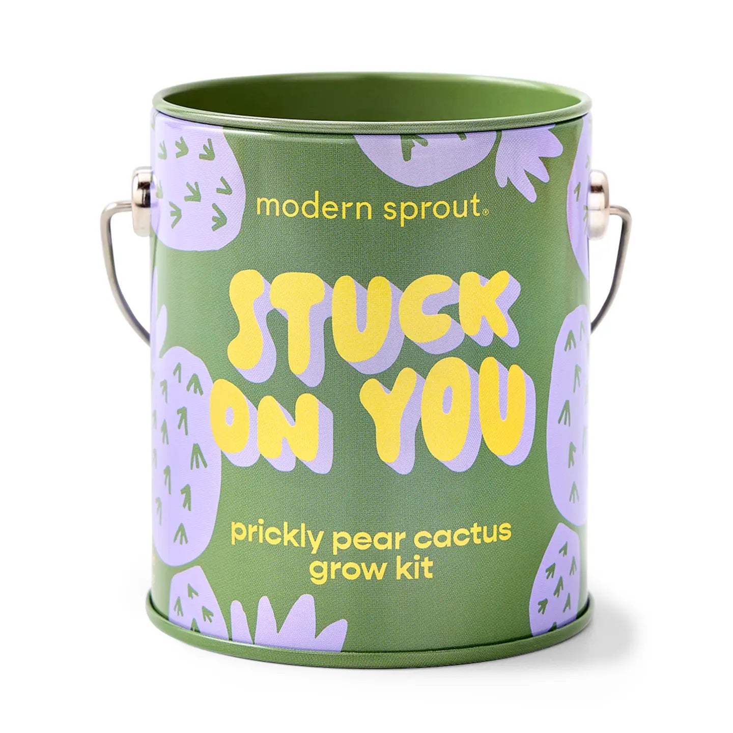 Rooted in Joy Grow Kits