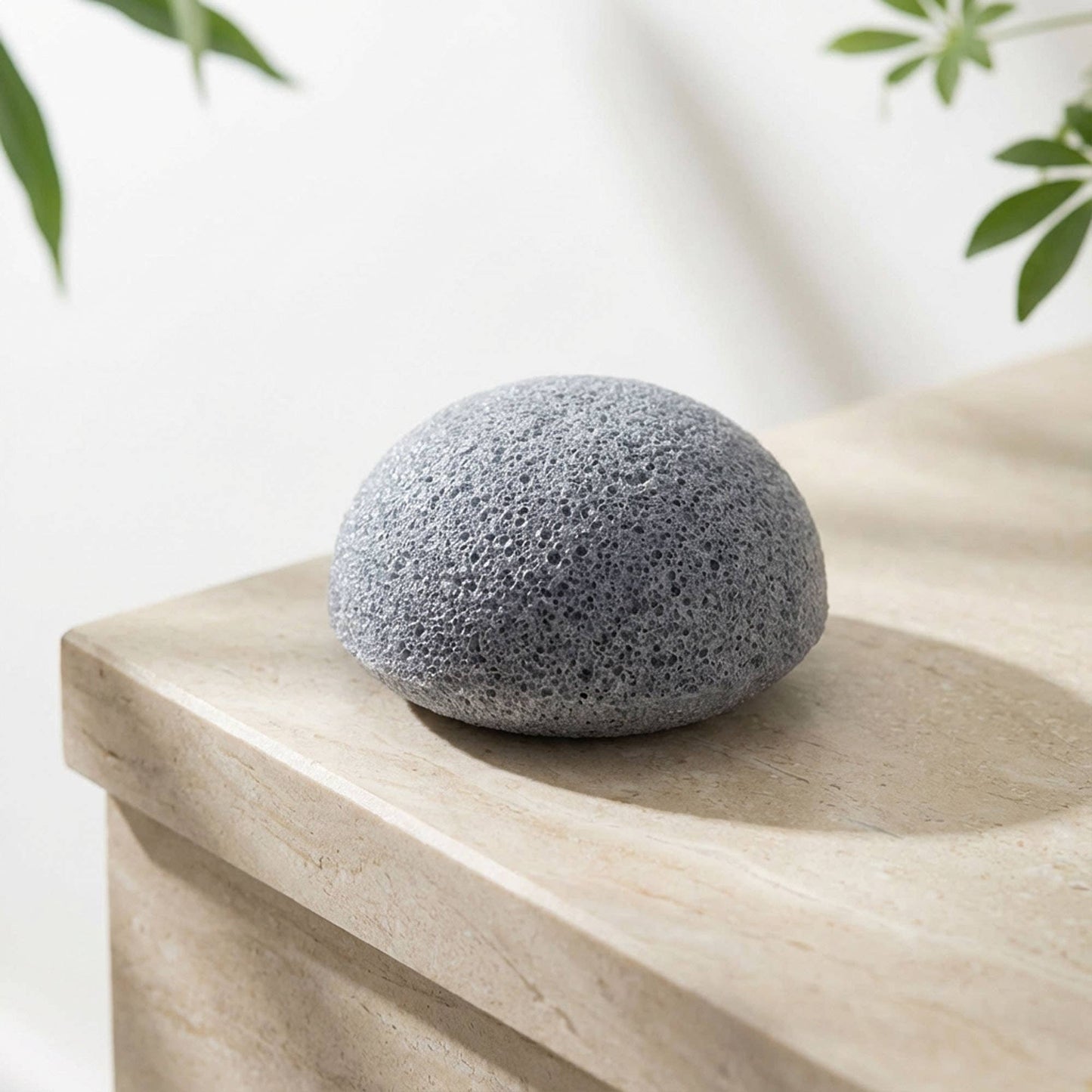 Charcoal Konjac Facial Cleansing Sponge