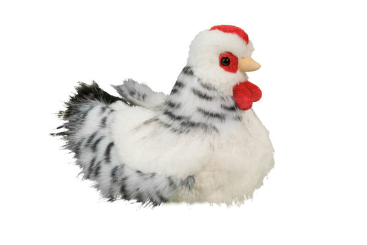 Salty Black & White Hen