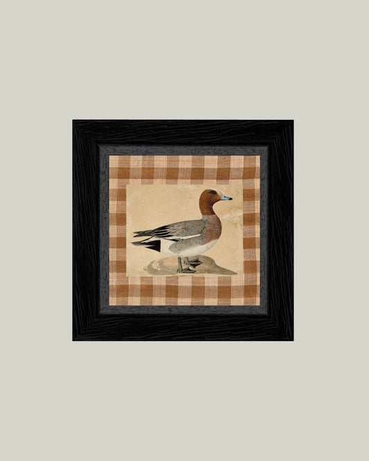 Eurasian Wigeon Framed Antique Art: 5x5