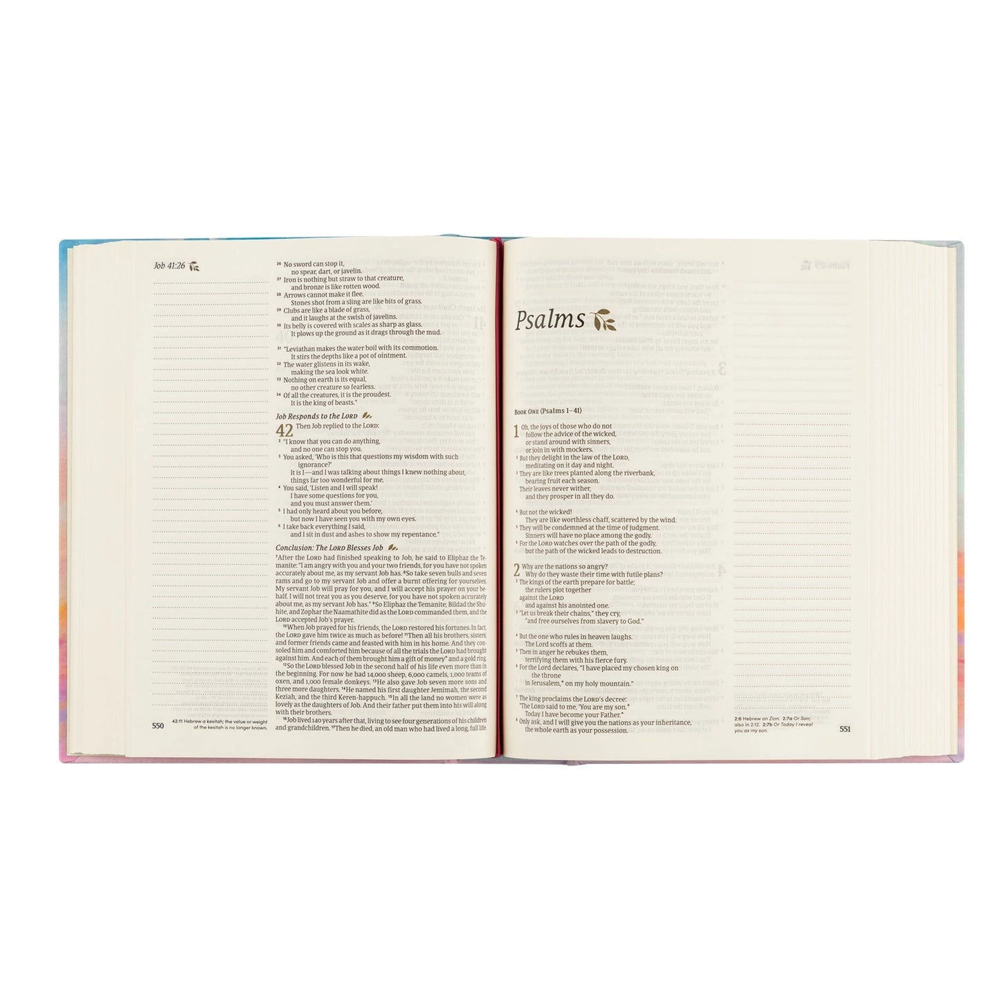 NLT NOTETAKING BIBLE: ROSEMARY BEACH THEME