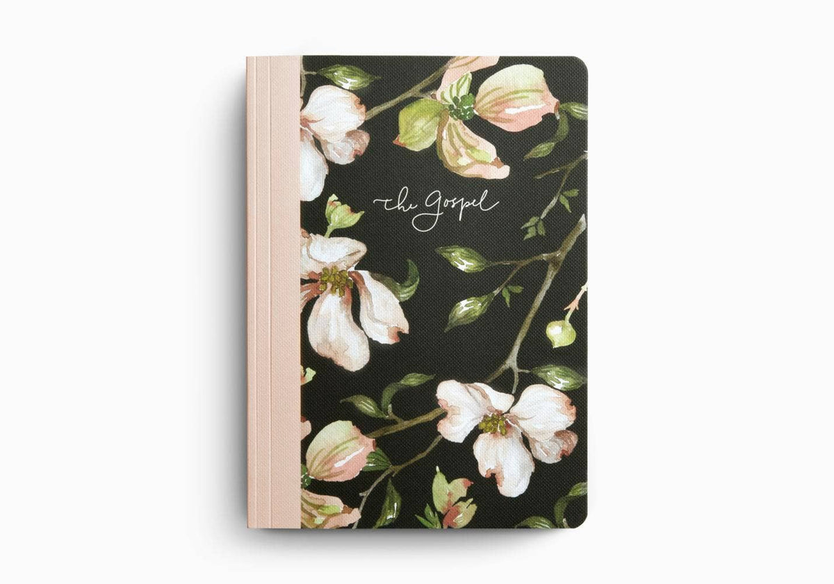 ESV Prayer Journal: 30 Days on the Gospel