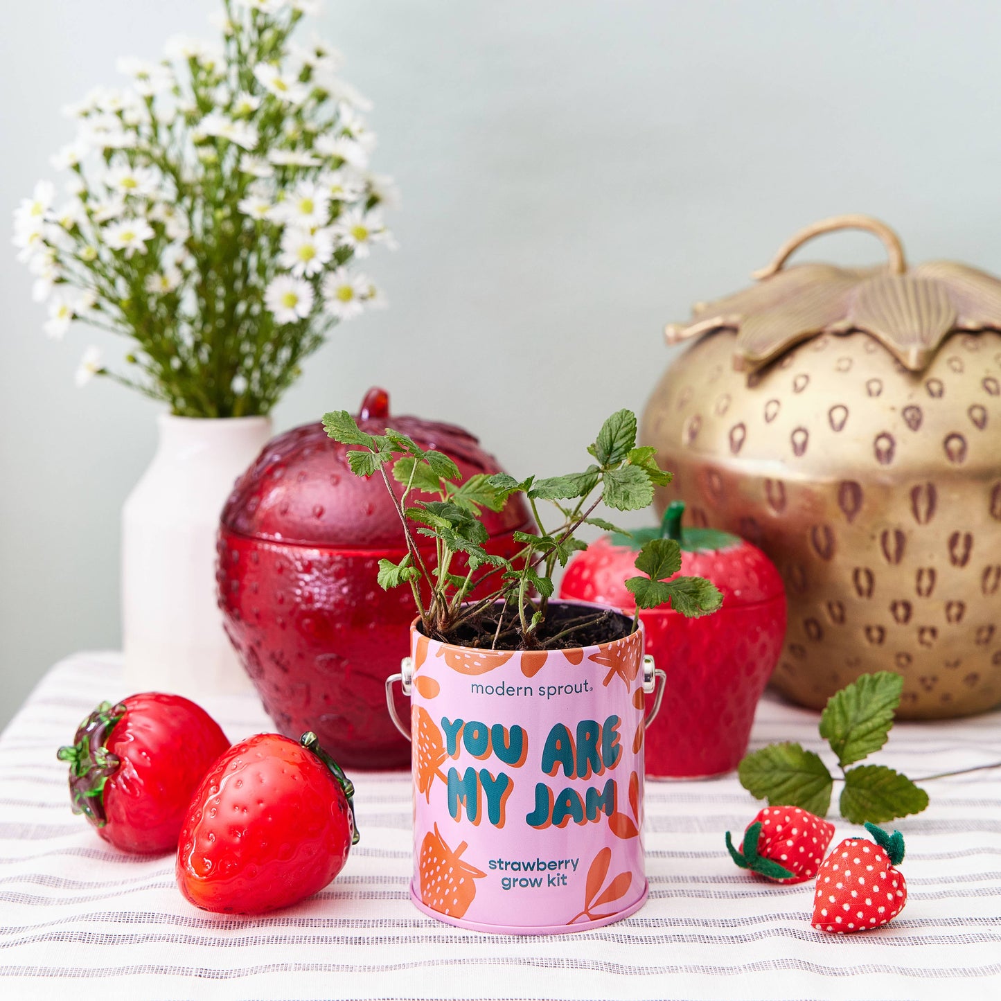 Rooted in Joy Grow Kits
