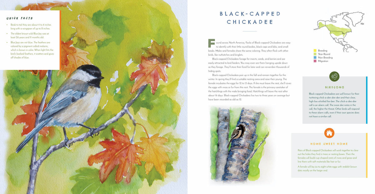 Northern Cardinal illustrated book spread featuring male and female cardinals, nesting facts and birdsong information in Hear Them Sing