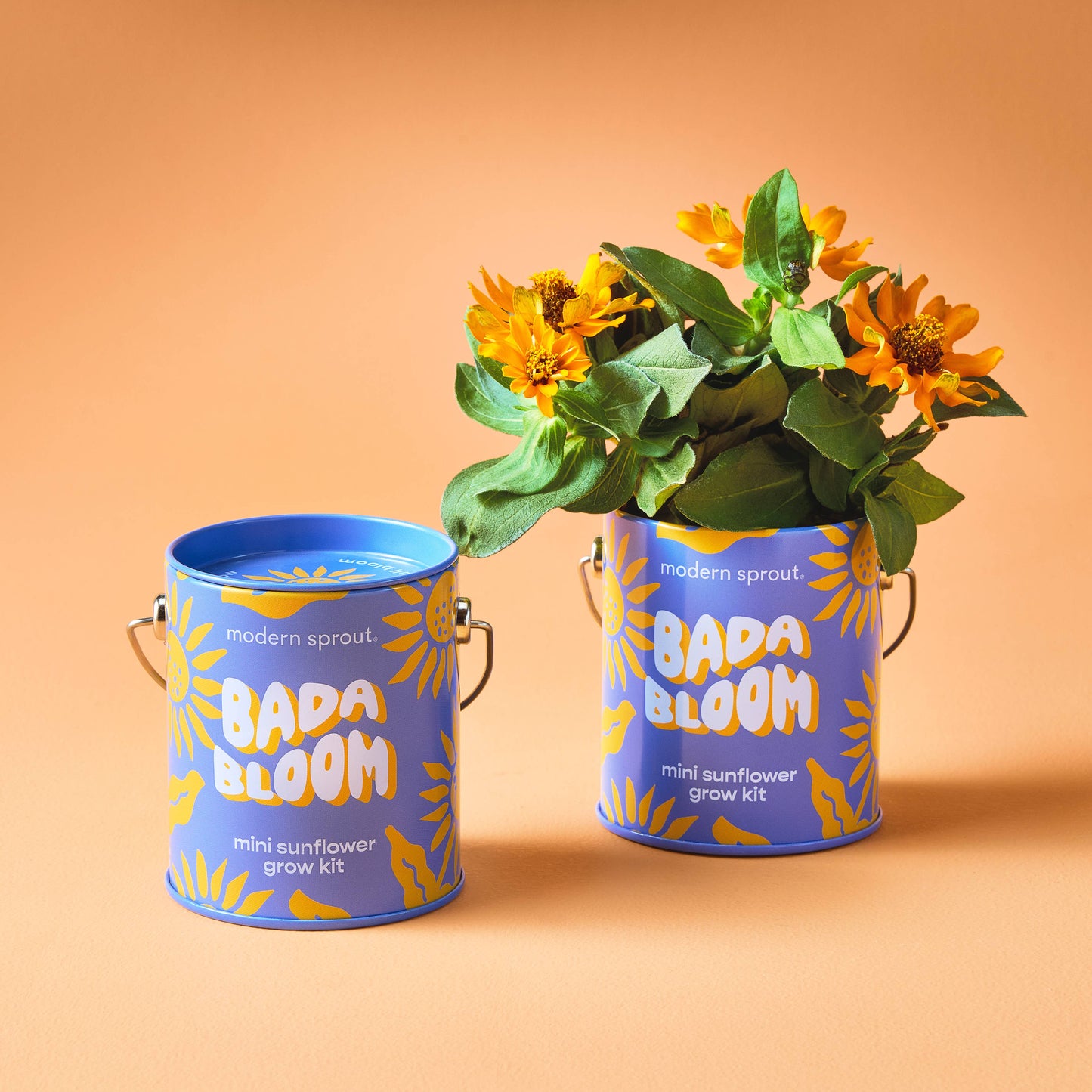 Rooted in Joy Grow Kits