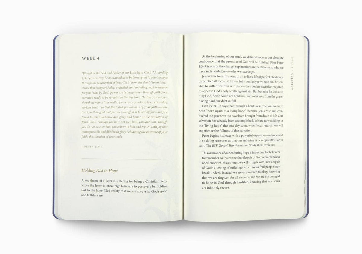 ESV Prayer Journal: 30 Days on Hope