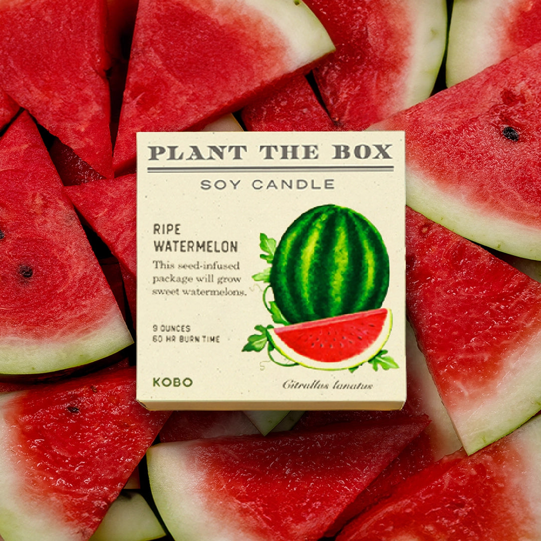 Plant & Grow Seed Candle – Ripe Watermelon