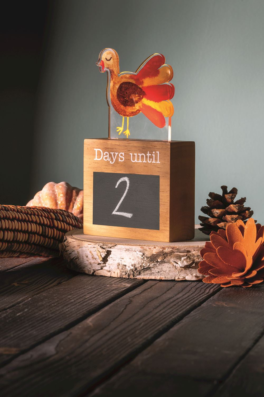 Light Up Countdown Holiday Set