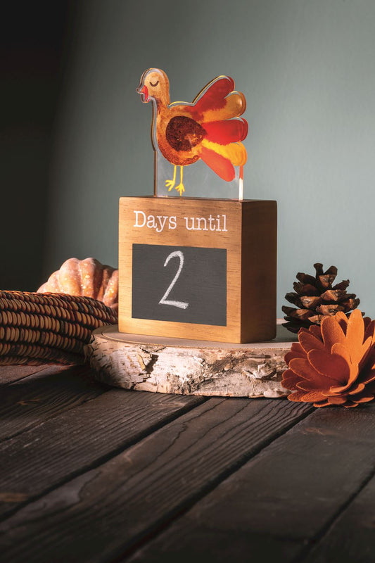 Light Up Countdown Holiday Set