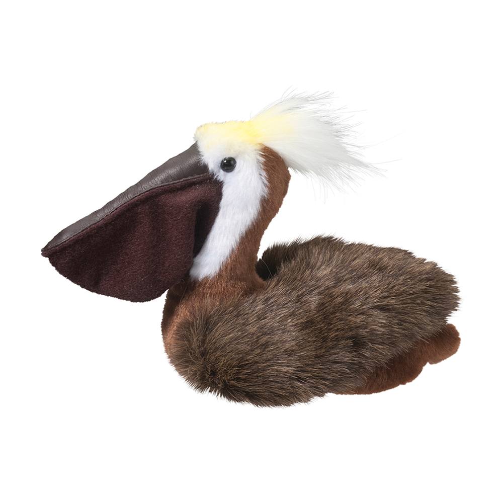 Beachy the Pelican