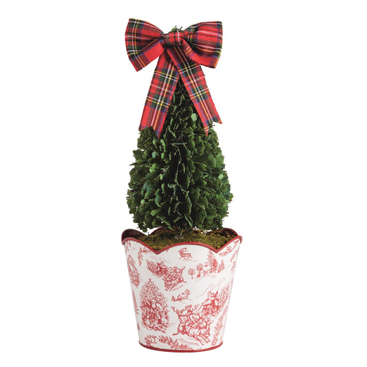 Toile Boxwood Topiary