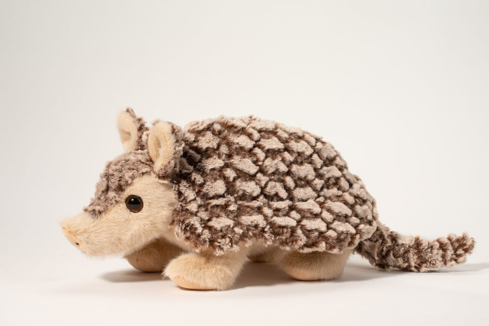 Austin the Armadillo