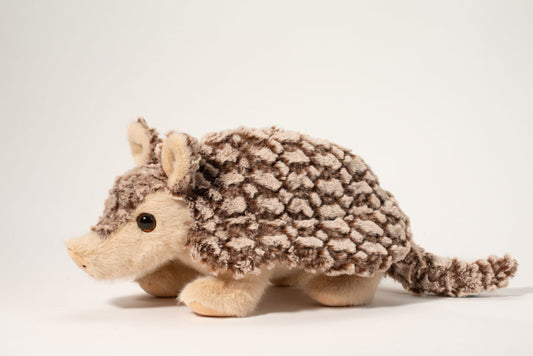 Austin the Armadillo