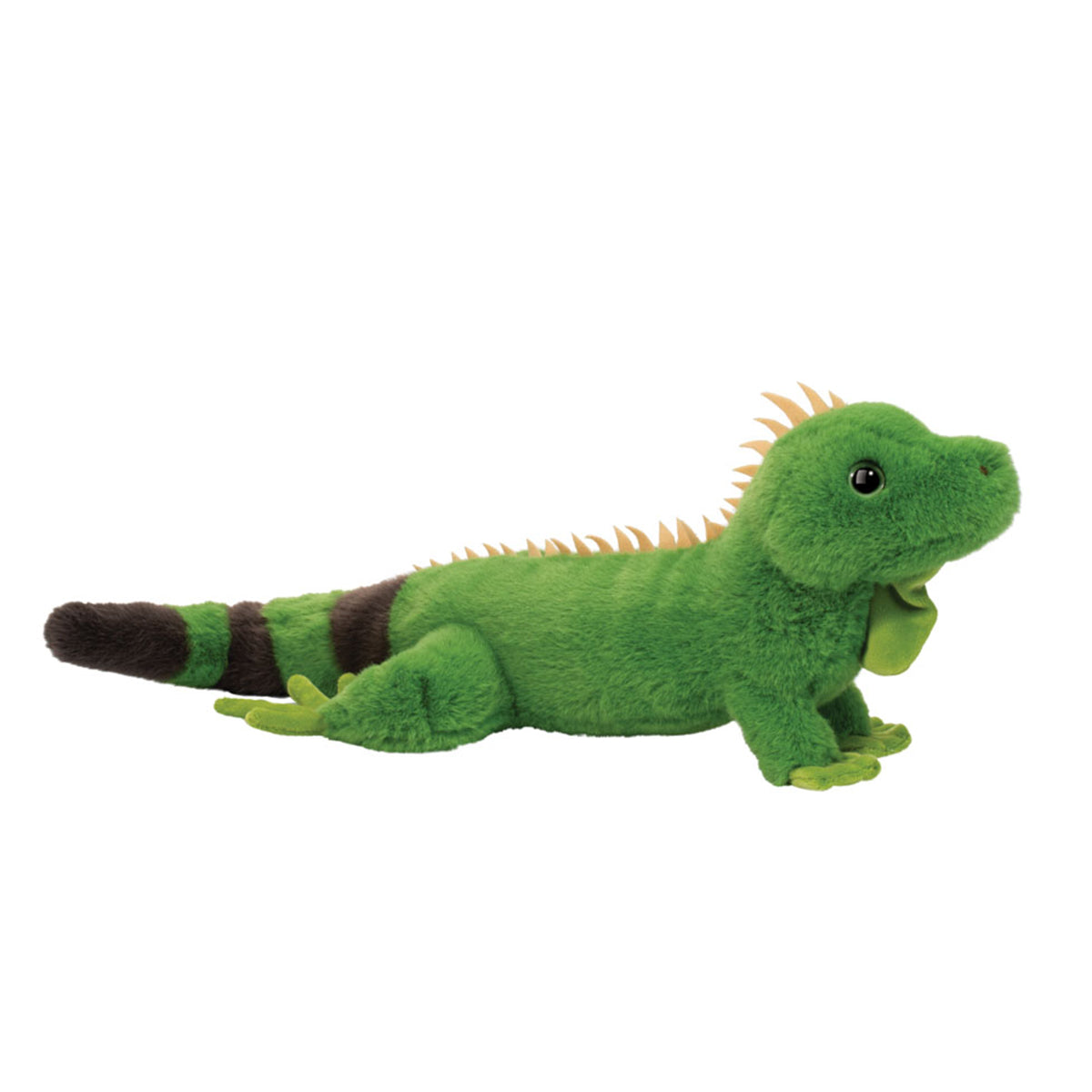 Buddie the Iguana