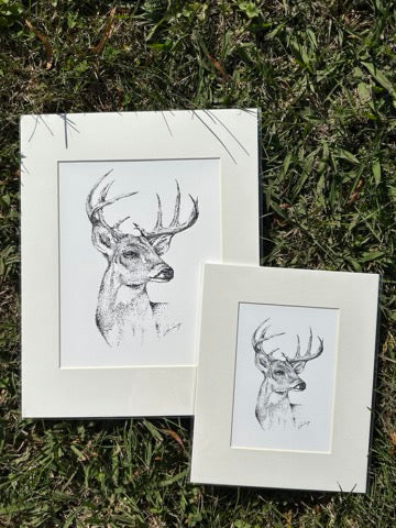 Deer XL Print