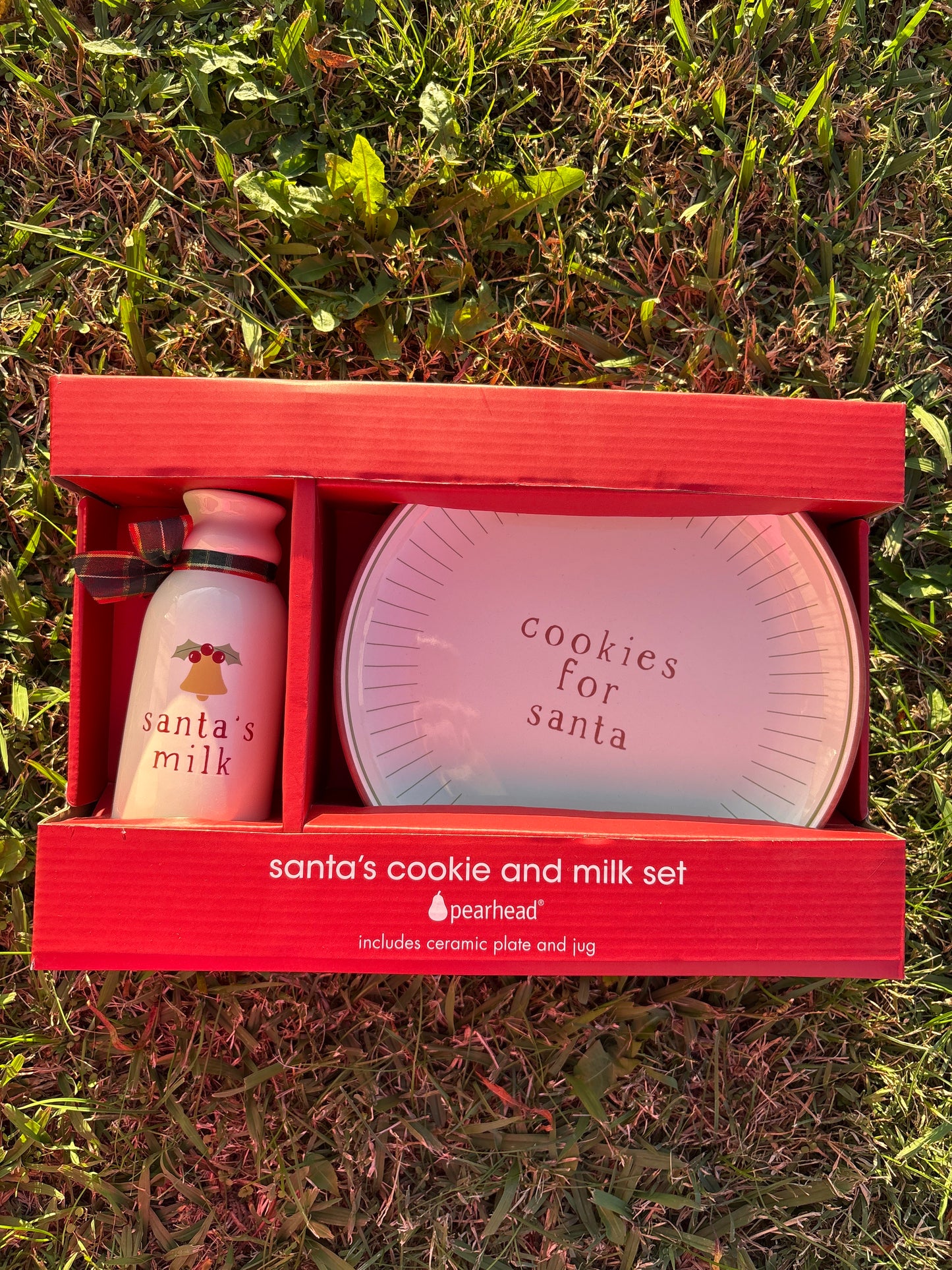 Santa Cookie Set
